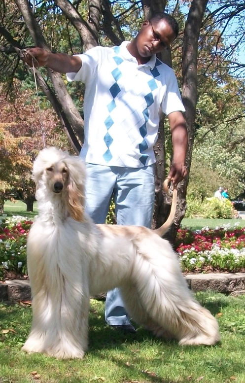 CH Xzotika’s the Man in the&nbsp;Mirror