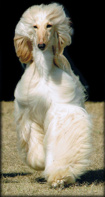 Xzotika's Walkin' on Water aka Naomi