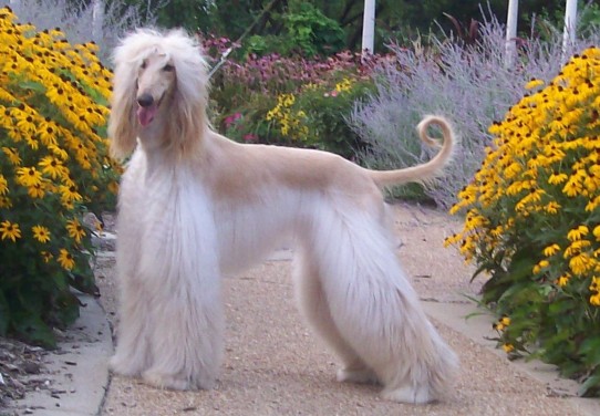 Xzotika's Walkin' on Water aka Naomi