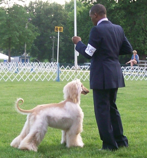 Naomi Stacked 15 months