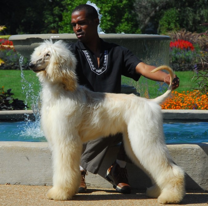 Xzotika’s Walk Like an&nbsp;Egyptian